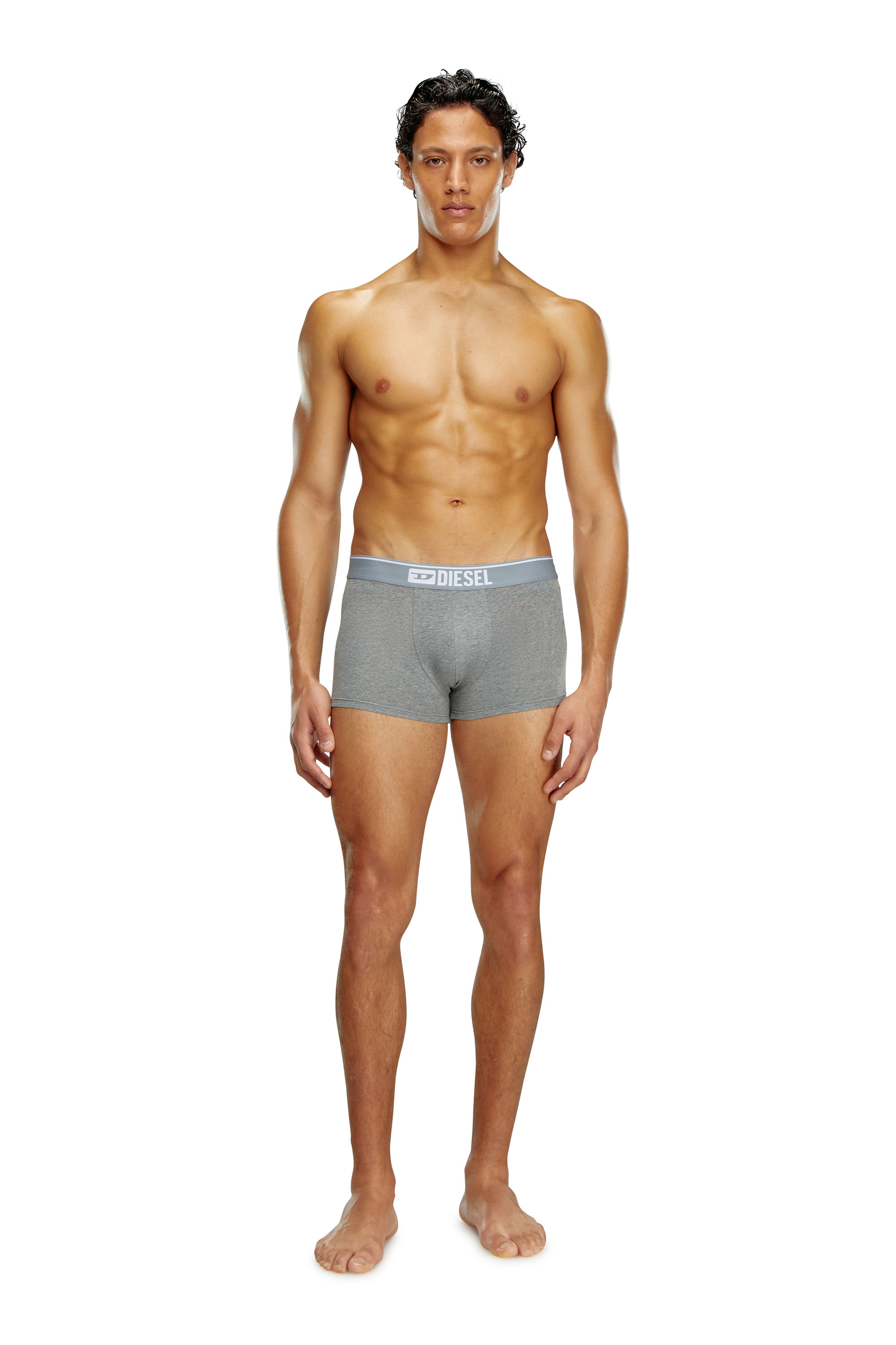 Diesel - UMBX-DAMIENTHREEPACK, Herren Einfarbige Retropants im Dreierpack in Weiss/Grau - 2